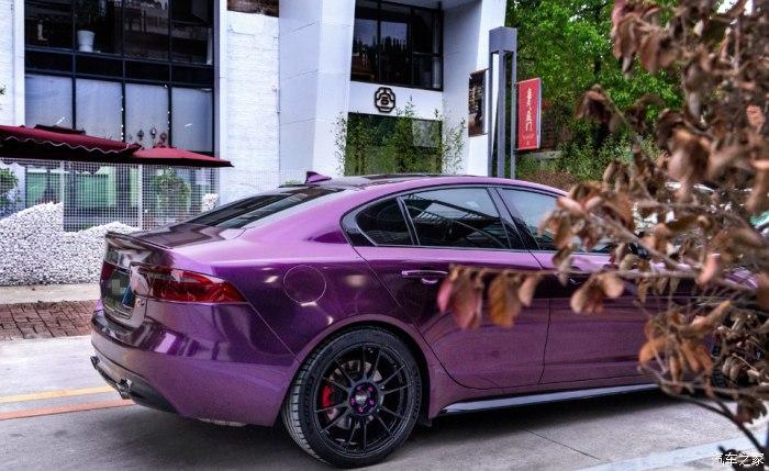 捷豹暗紫色图片