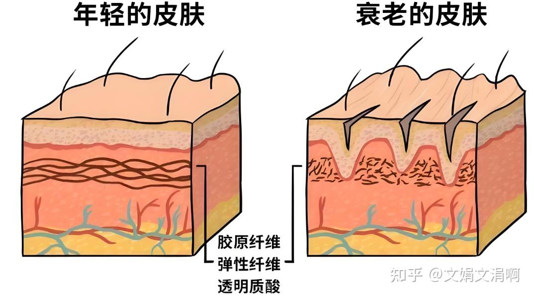 20-30 岁的女性如何护肤？