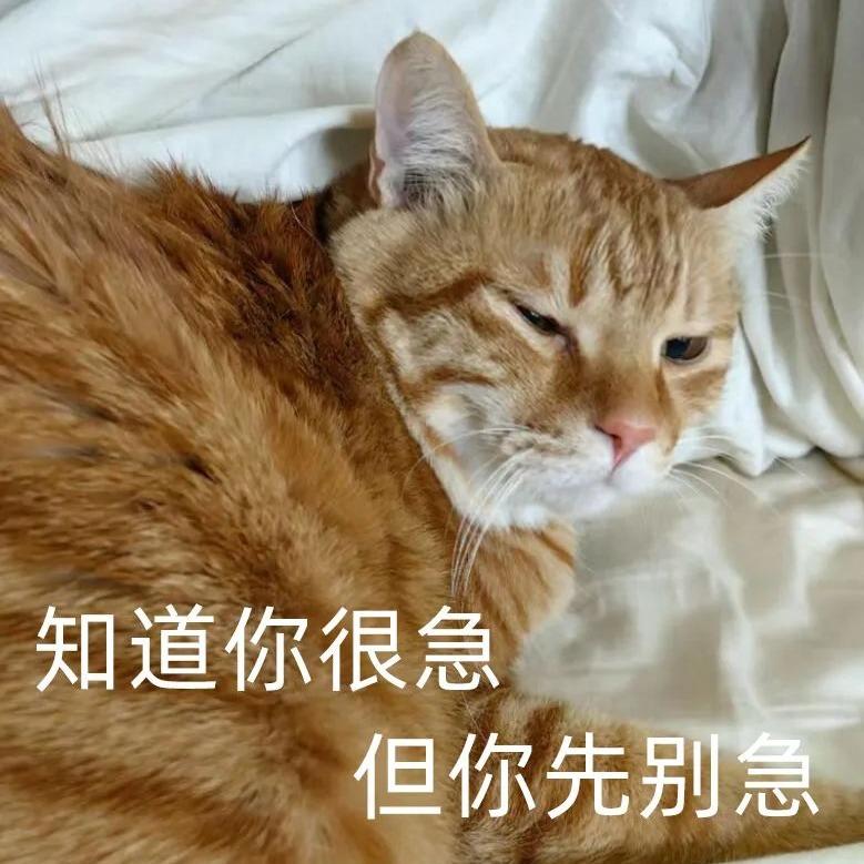 仰视之眼