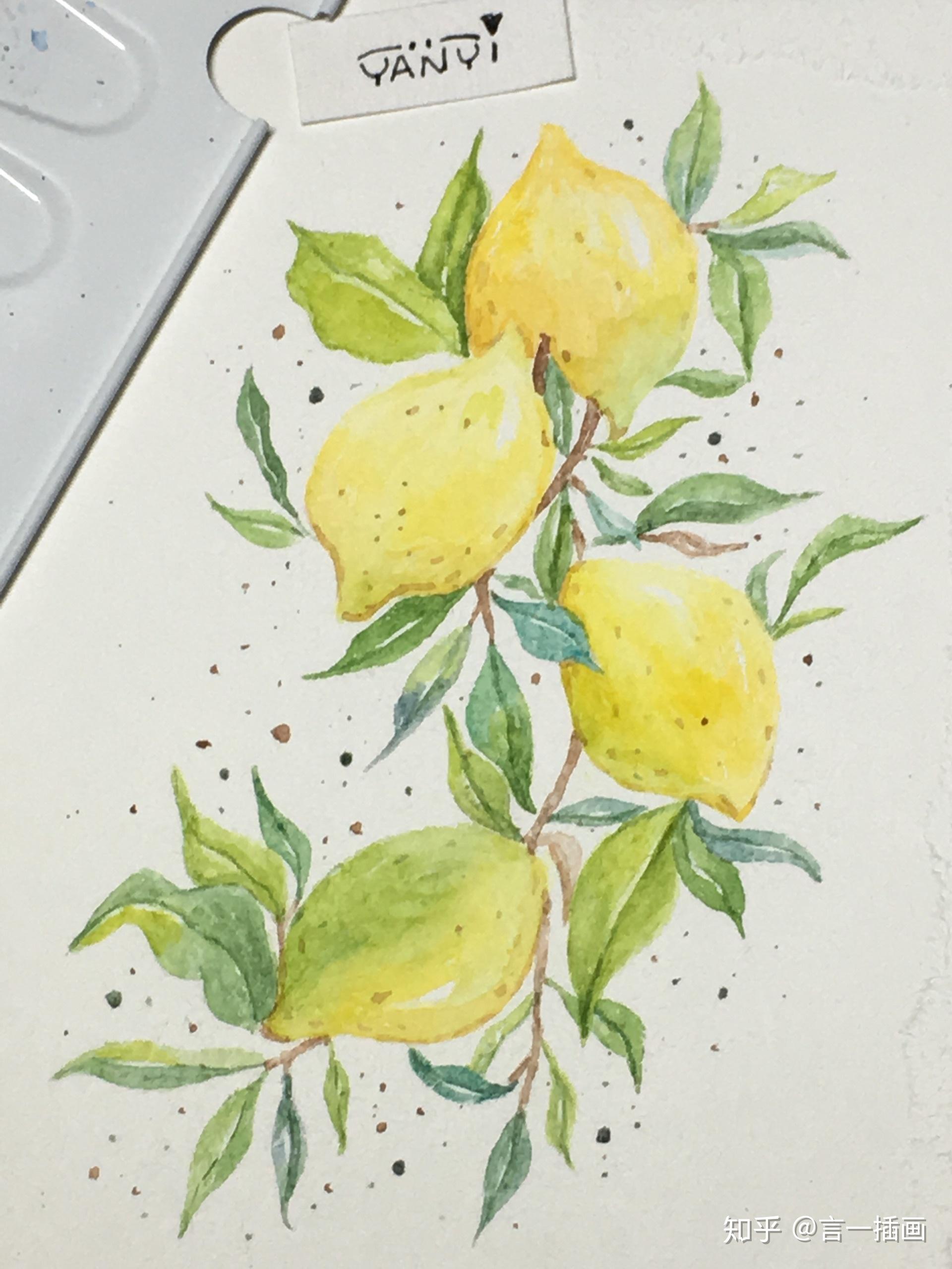 4种水果水彩自学插画第233天