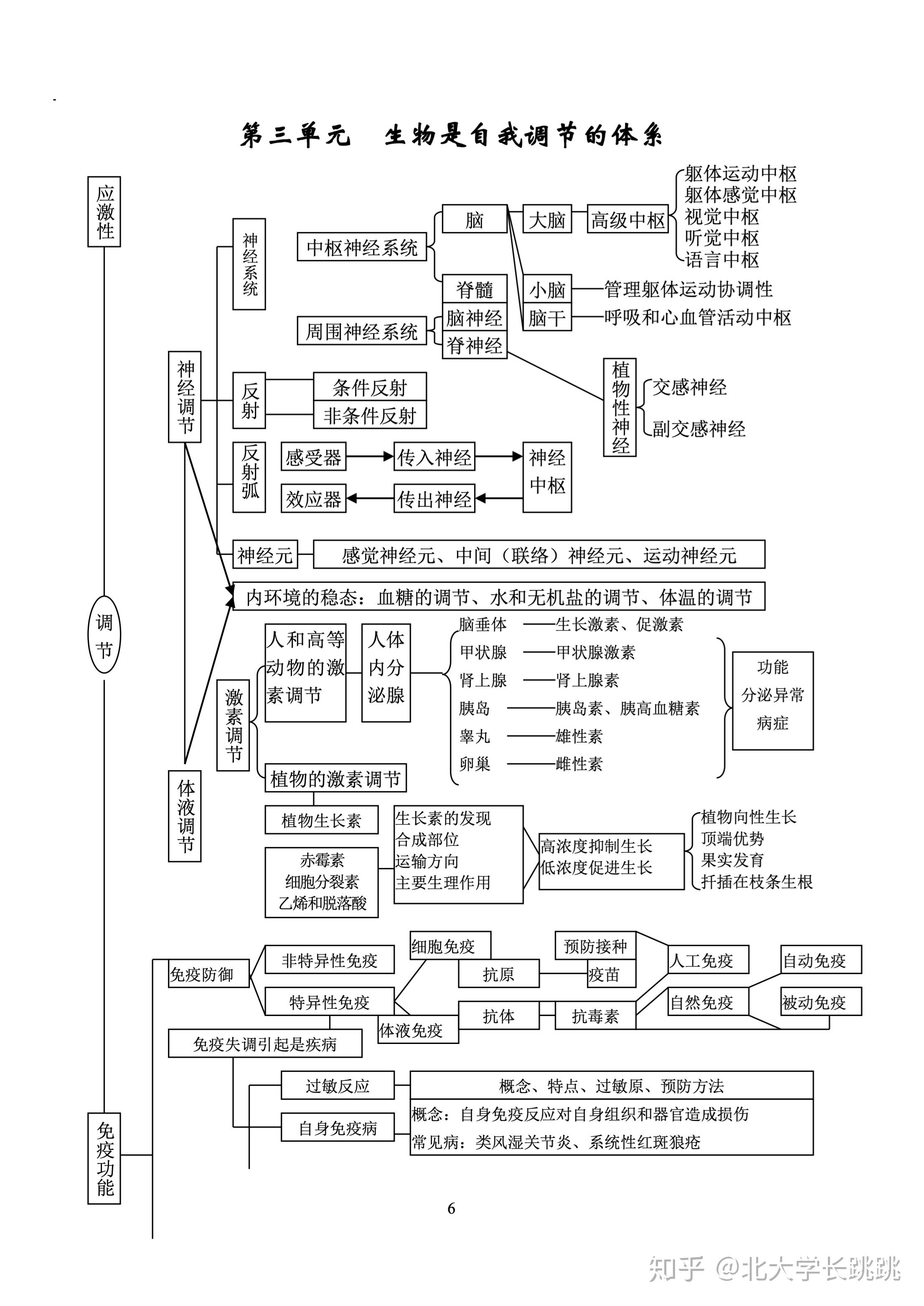 高中生物知识框图图片