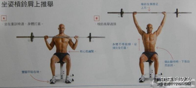 坐姿杠铃推举 -坐姿杠铃前推举动作图解教学 - 知乎
