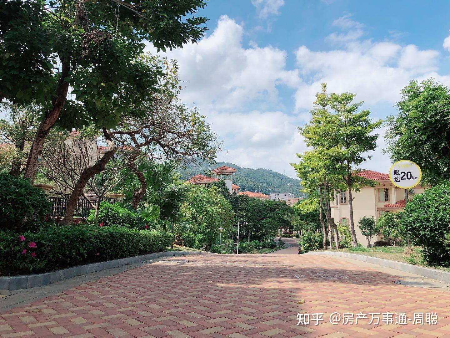 临深东莞观音山脚下纯别墅小区观山御墅的别墅怎么样