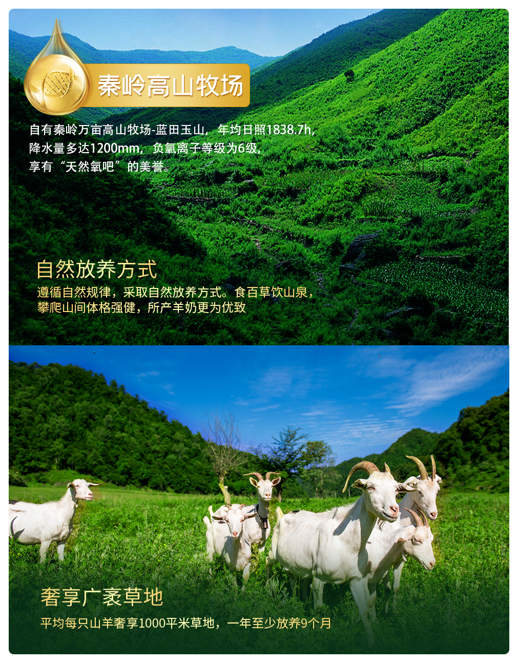 与此同时,美力源乳业拥有一条完整的全产业链,从奶源开始布局,把控