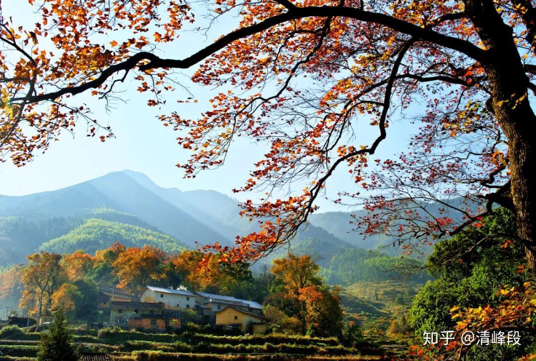 浙江什么时候开始放秋假 v2-3967bcf38e16d3b3109131197de5f1cd_r.jpg