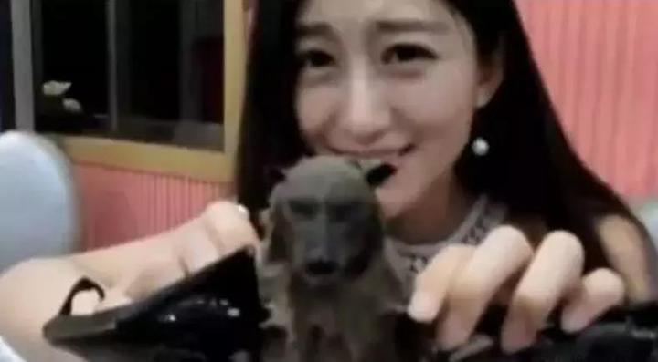 中国人为什么爱吃野味 连蝙蝠都敢吃 知乎 中国人为什么爱吃野味 连蝙蝠都敢吃 知乎