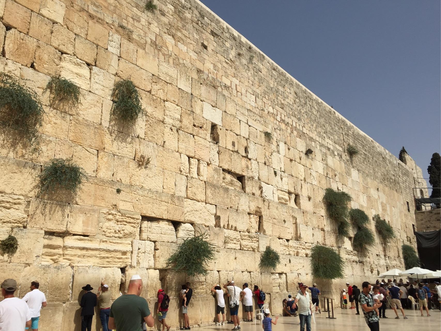 为什么现在的以色列人不去重建圣殿?