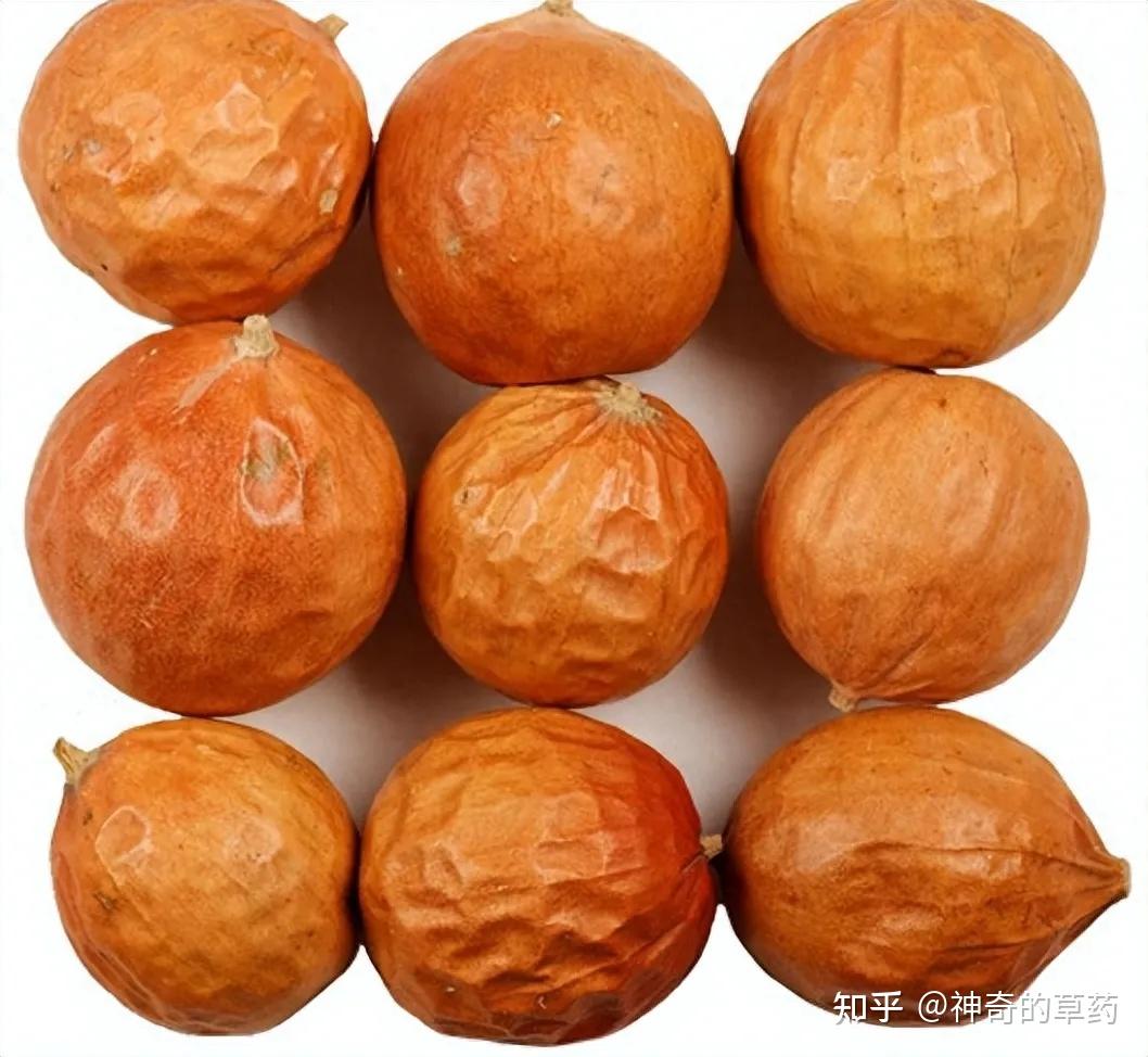 中药材:瓜蒌、瓜蒌皮、瓜蒌子 - 知乎