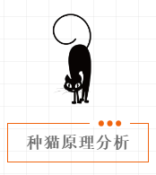 种一盆猫咪盆栽需要几步 知乎