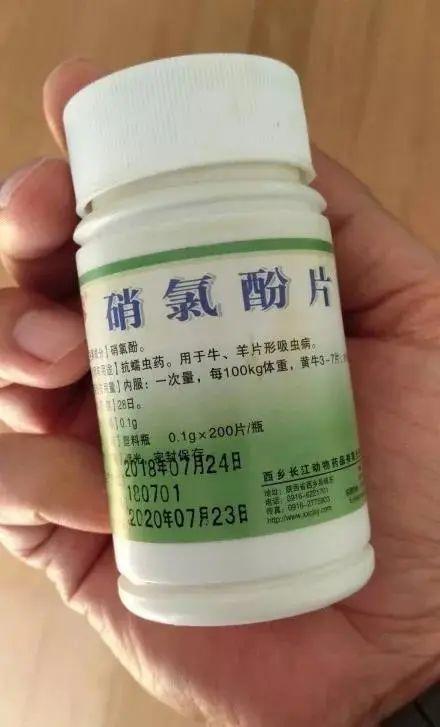 1,硝氯酚硝氨酚是一种黄色结晶性粉末,无臭,常被投毒者放在肉肠中引