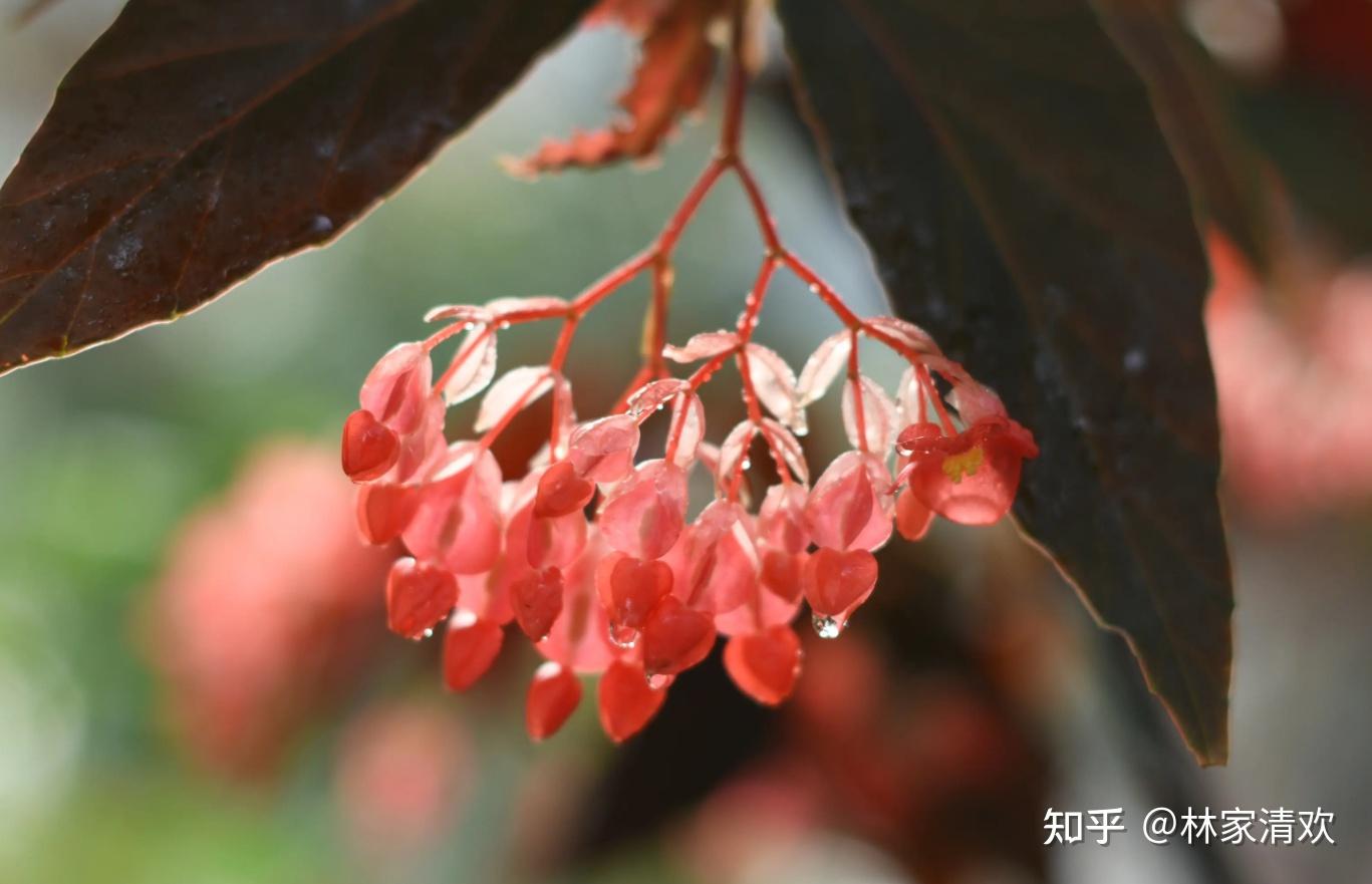 涨知识!秋天的36种雅称详解,字字有典故,美不胜收 - 知乎