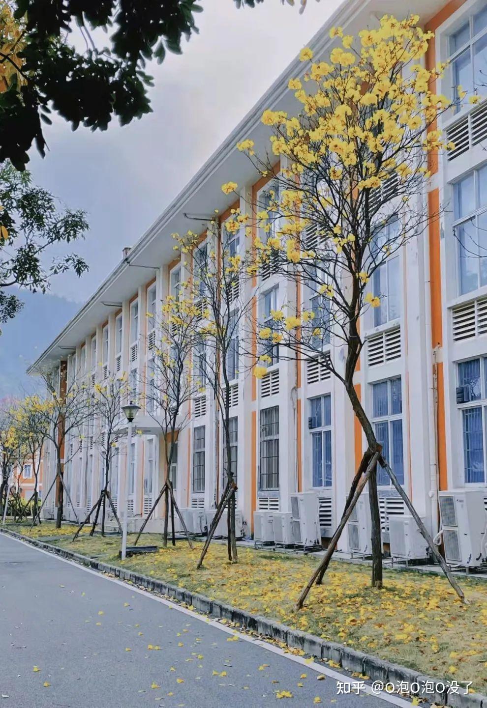 广州南方学院竟然带我环游世界!