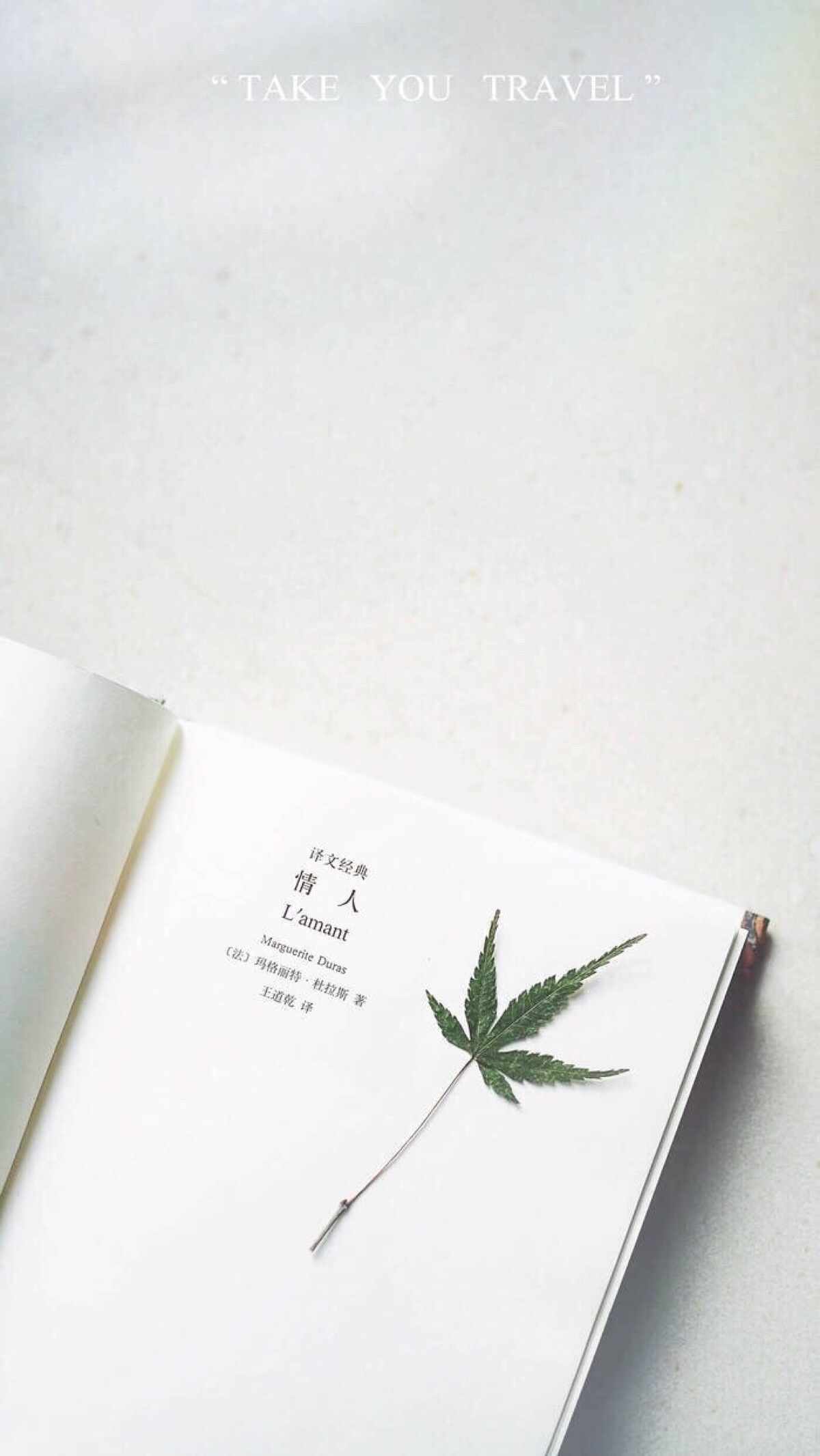 有没有浅色系壁纸做手机桌面壁纸