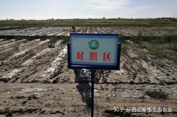 v2-39e7cbd0781945746786d2eeab7f5459_r.jpg
