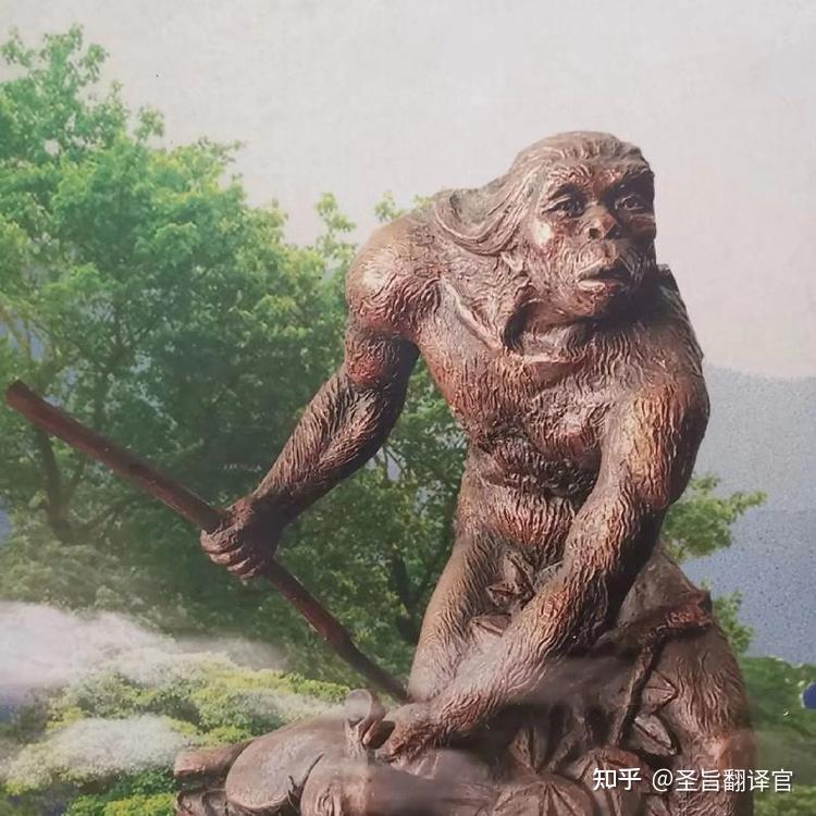 人类700万年进化史,都经历了哪些主要阶段?一文轻松读懂! - 知乎