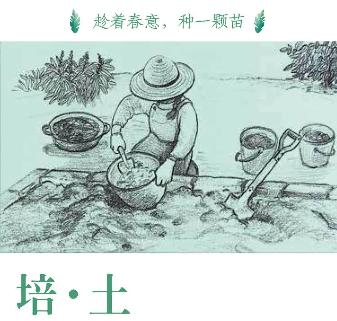 和妈妈一起种菜简笔画图片