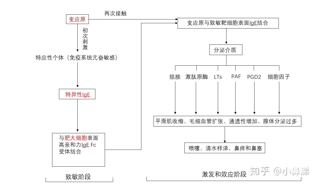 过敏物,致敏原,致敏物,是指能够促进在特应性个体发生i型超敏反应的非