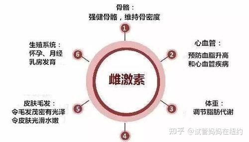 什么是雌激素?