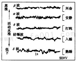 睡眠的周期性规律