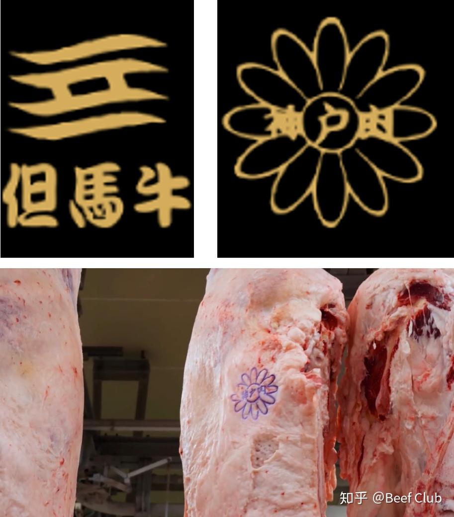 *神户牛 kobe beef