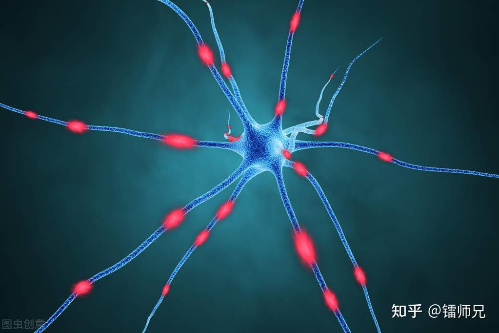 找到自己的内核本质在这个大时代逐浪前行