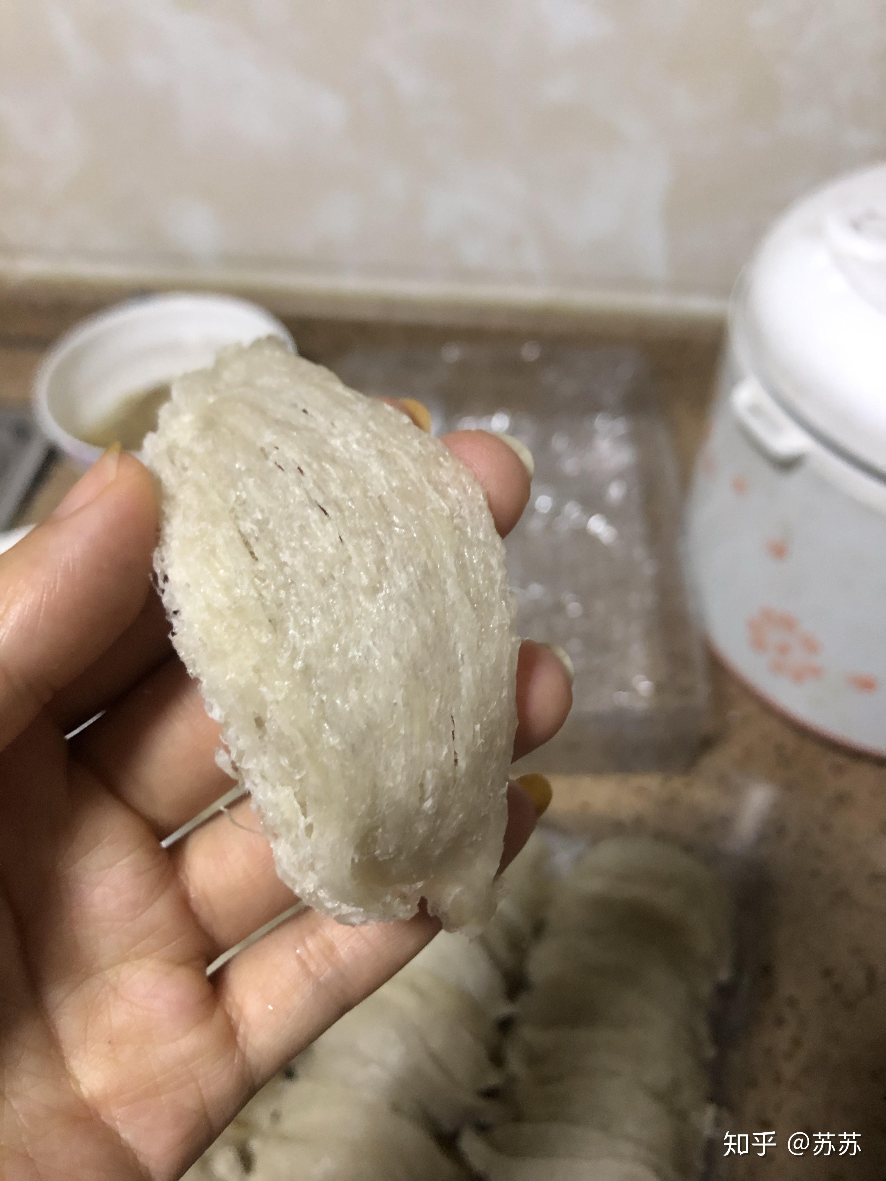 印尼燕窝之-爪哇灰盏 - 知乎