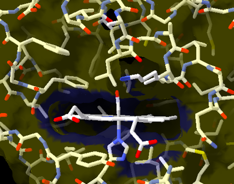 分子三维结构编辑和展示软件合集 - 知乎