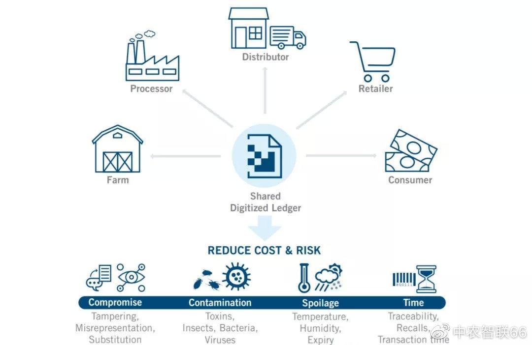 农业区块链从农场到餐桌区块链如何彻底改变食物供应链