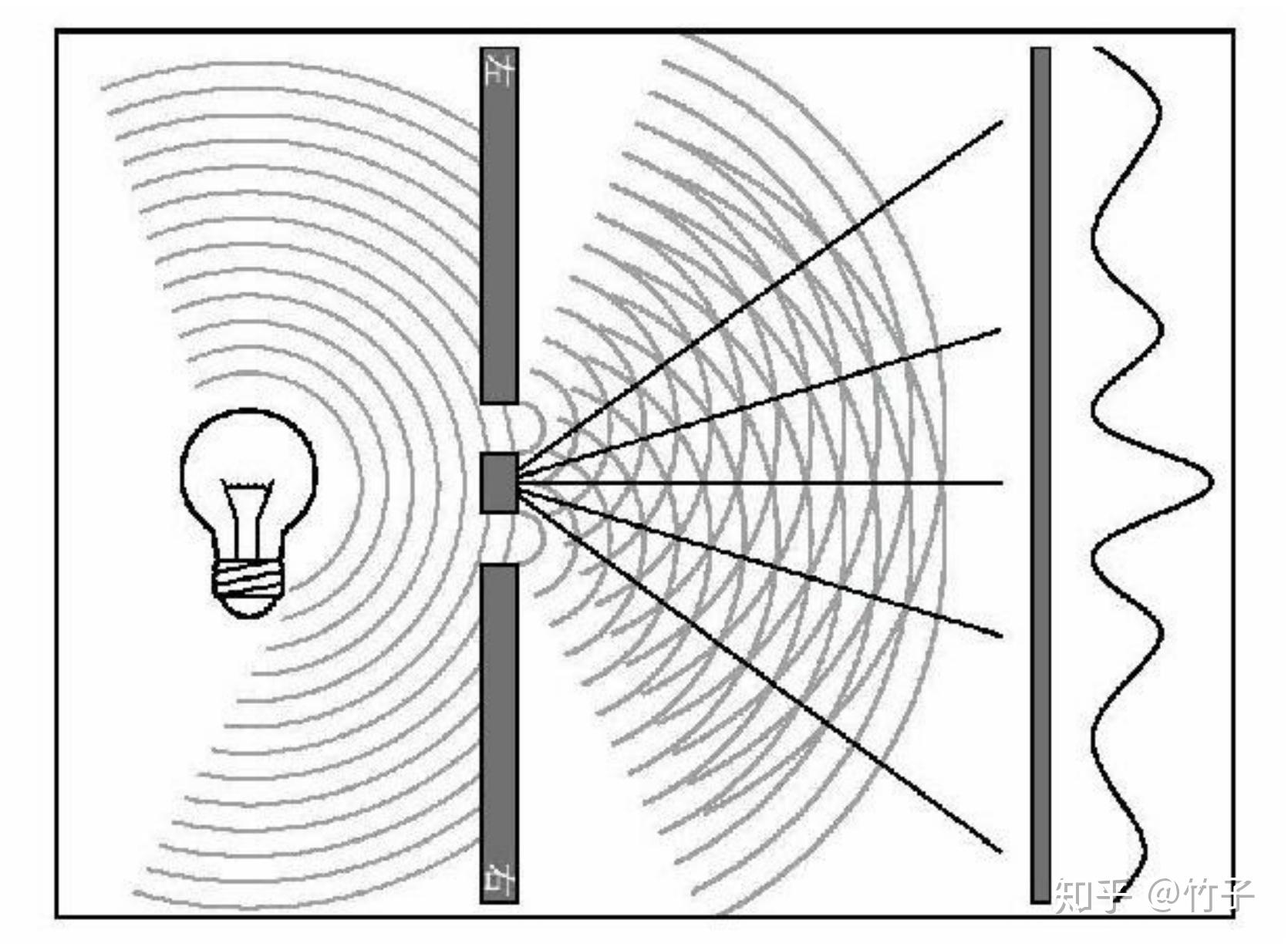神秘的量子生命(三):光合作用中的量子节拍 - 知乎