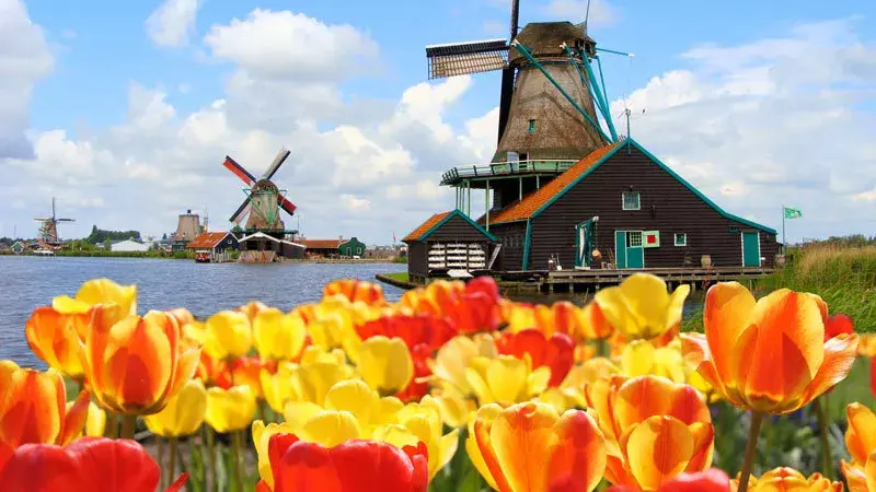 想申请去荷兰读博,需要哪些条件?