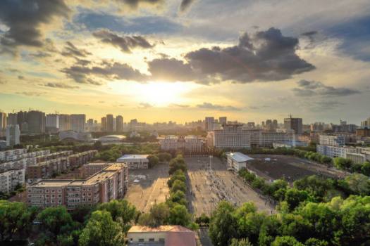 东北林业大学林业排名_东北林业大学全国排名_东北林业王牌专业排名