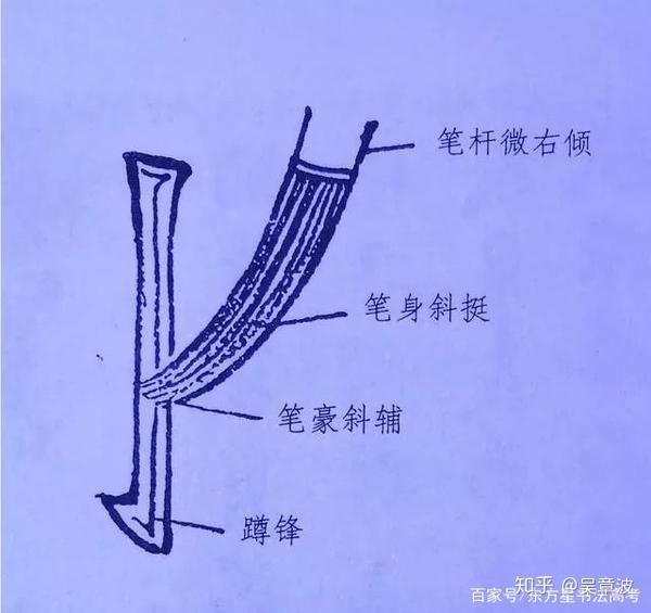 国画中锋侧锋的讲解图片