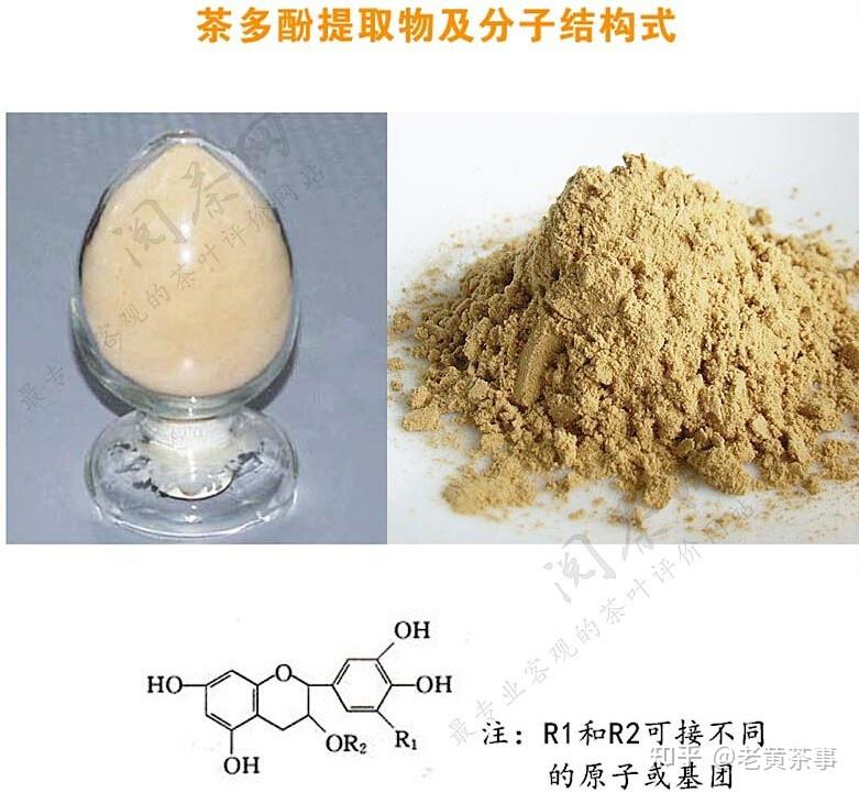 老黄茶事:茶多酚,茶的灵魂所在