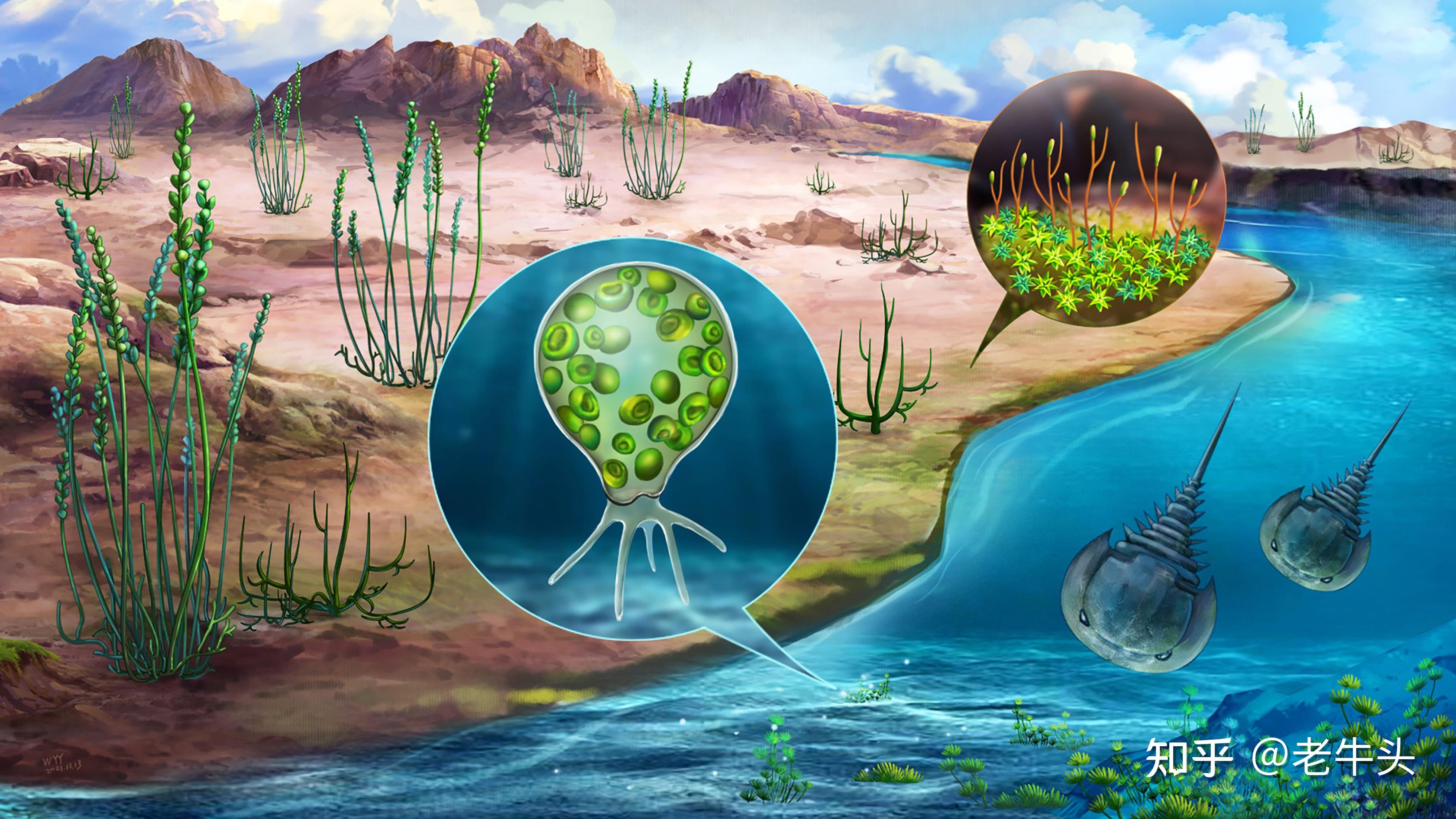 古生物新闻(2023年5月22日-6月4日) - 知乎