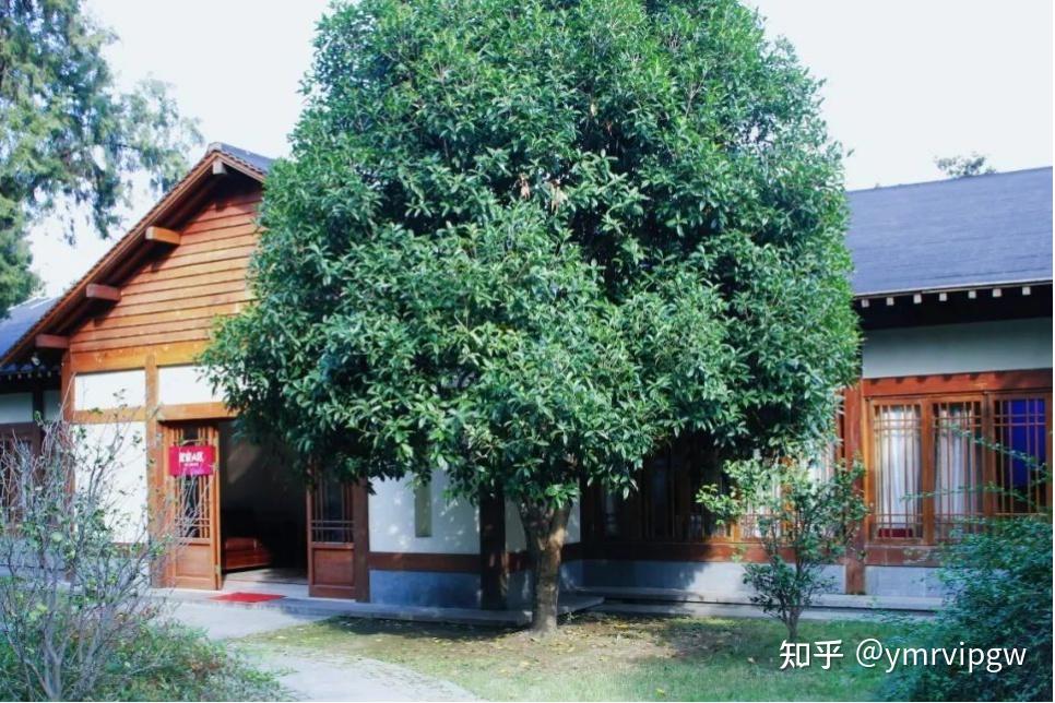 夏日乘凉好去处,杭州花圃欢迎您-虞美人国际集团