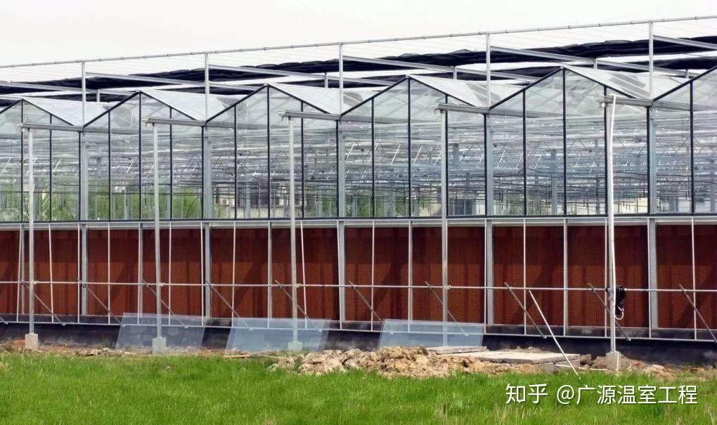 文洛式连栋玻璃温室有哪些建设特点