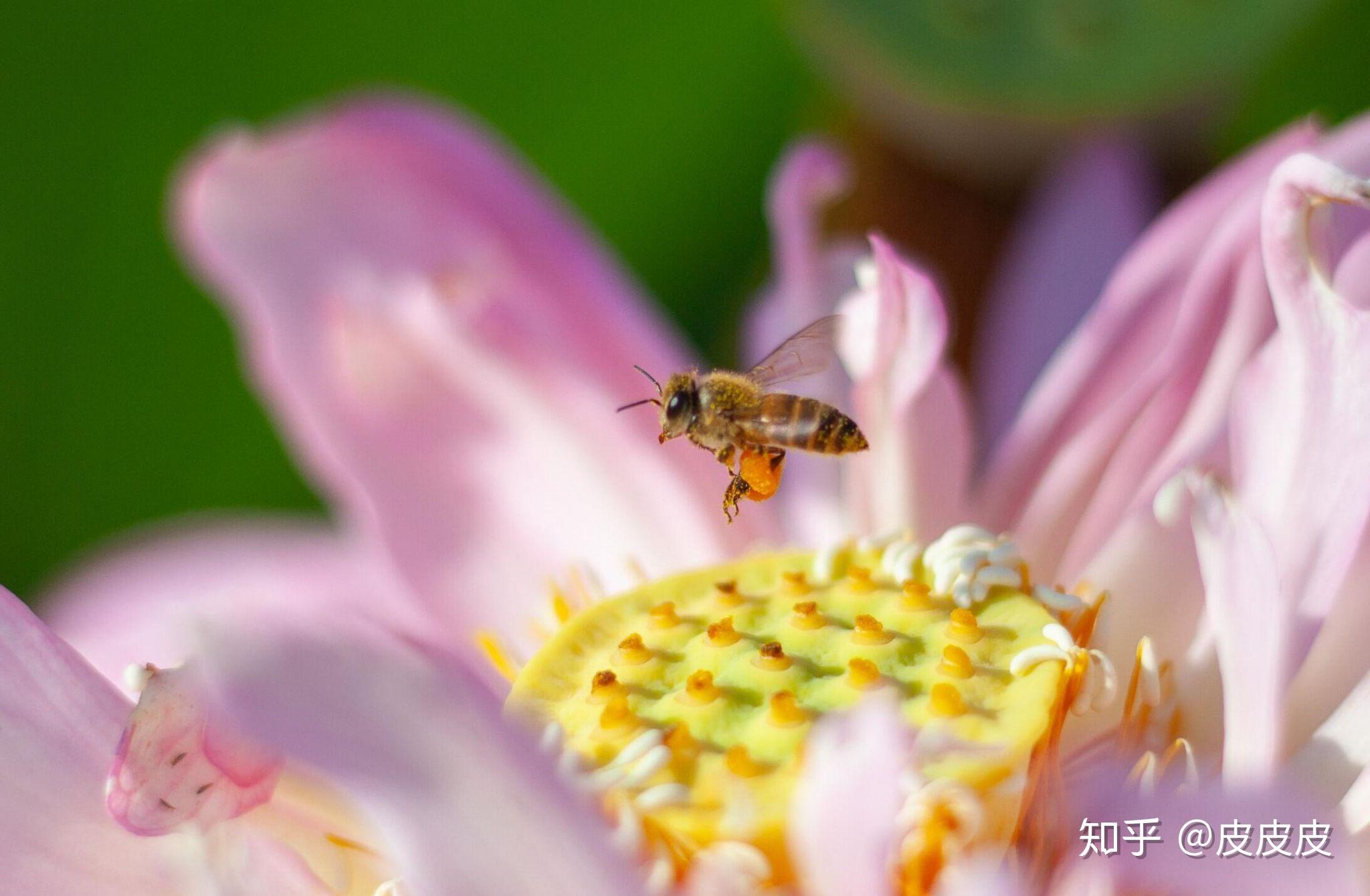 在你的摄影生涯里,用50mm定焦镜头拍出过哪些满意的作品?