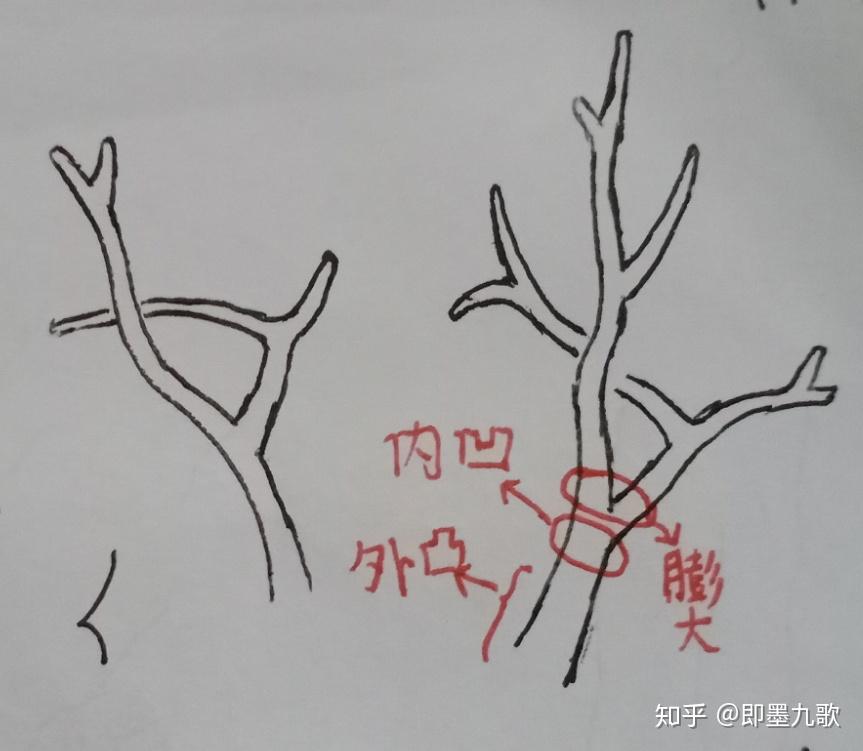 钢笔画:树的画法 - 知乎