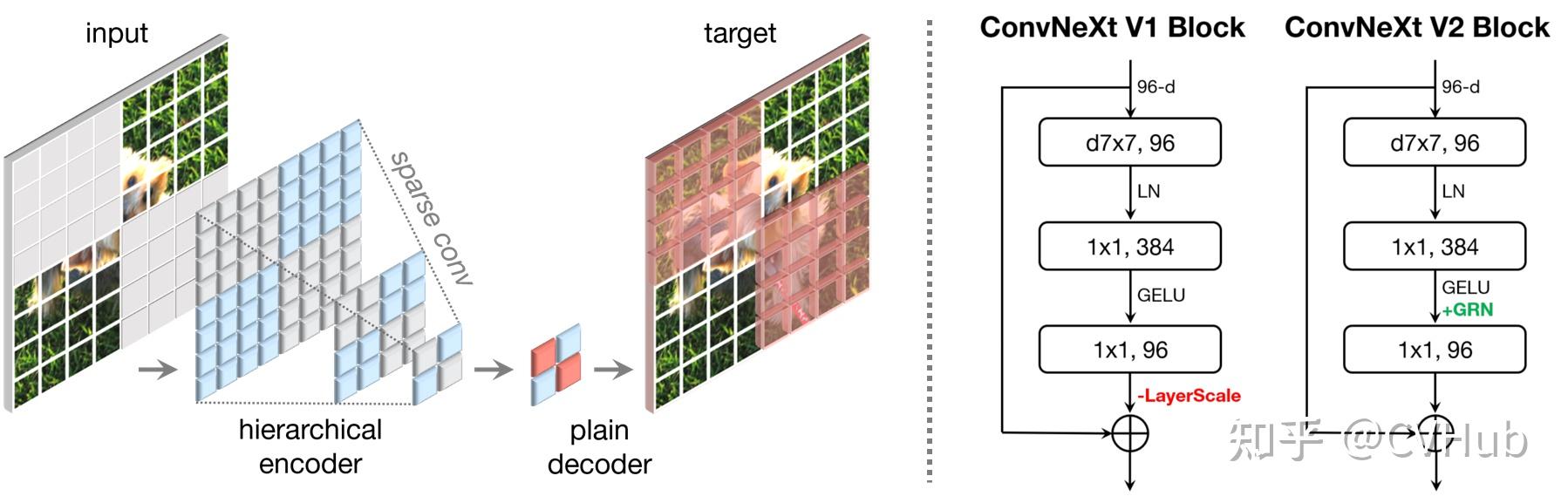 ConvNeXt-V2:当 MAE 遇见 ConvNeXt 会碰撞出怎样的火花? - 知乎
