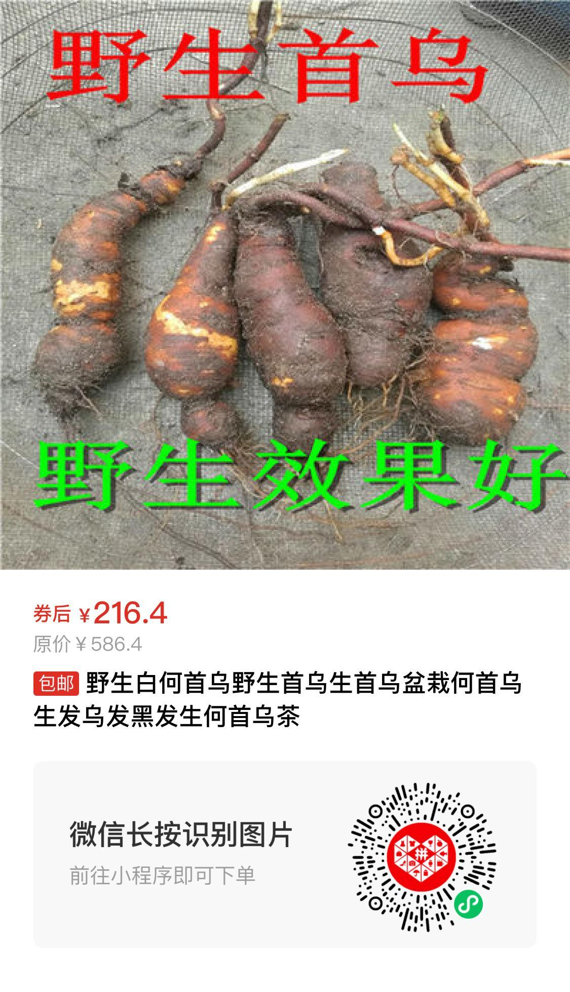 白何首乌的功效与作用 