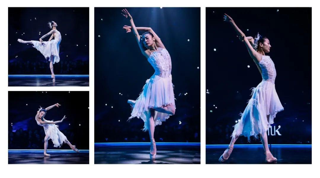 谭元元优雅亮相舞蹈风暴天鹅归来绽放艺术魅力