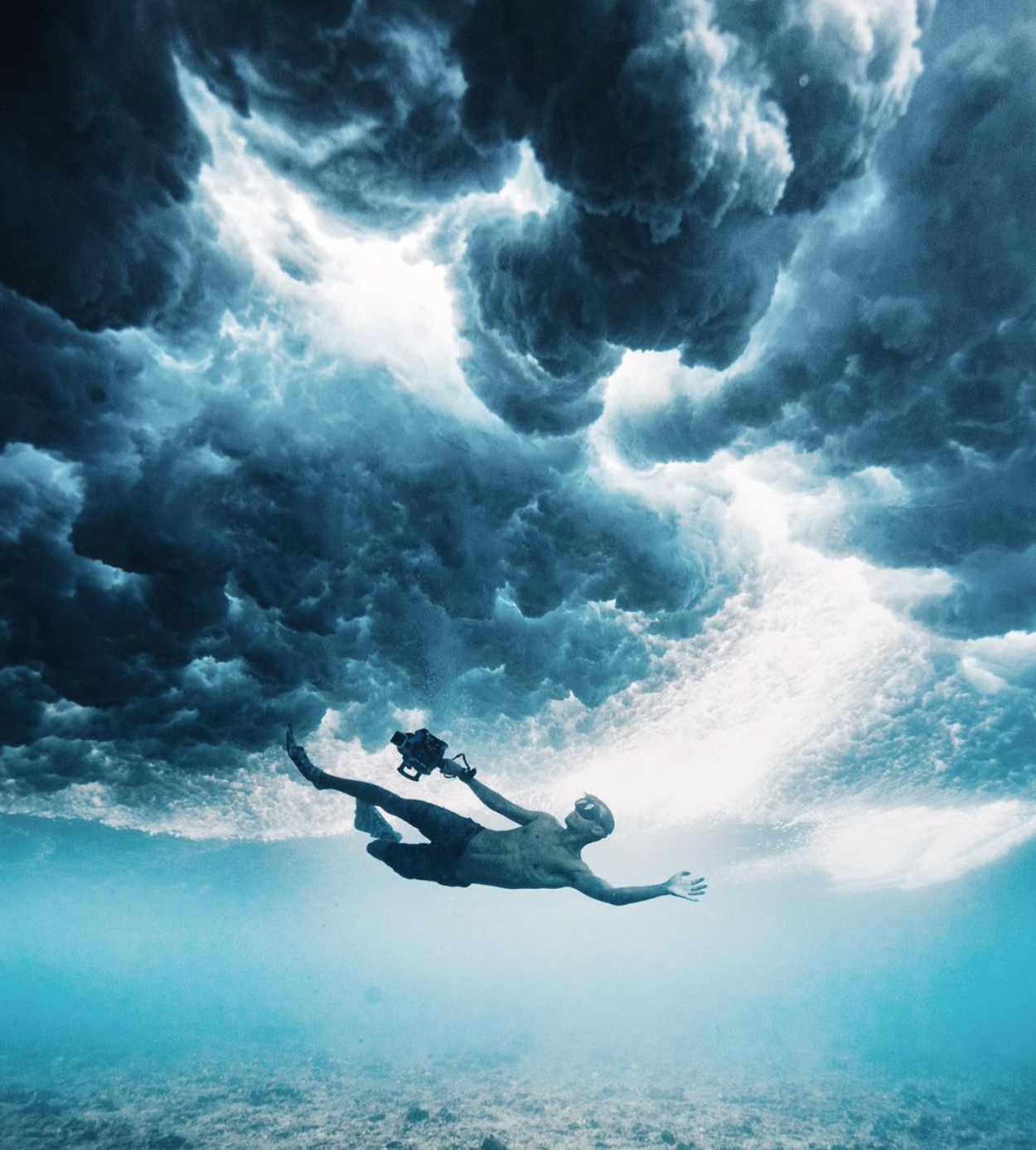 可分为在岸上用长焦镜头或者无人机拍摄,在船上或者在水下近距离拍摄