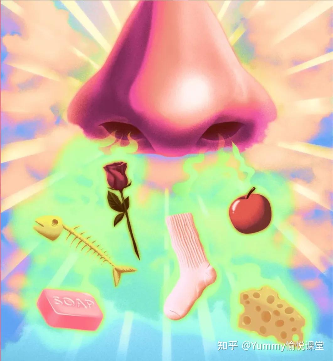 听说嗅觉灵敏的女性do时更爽真的吗