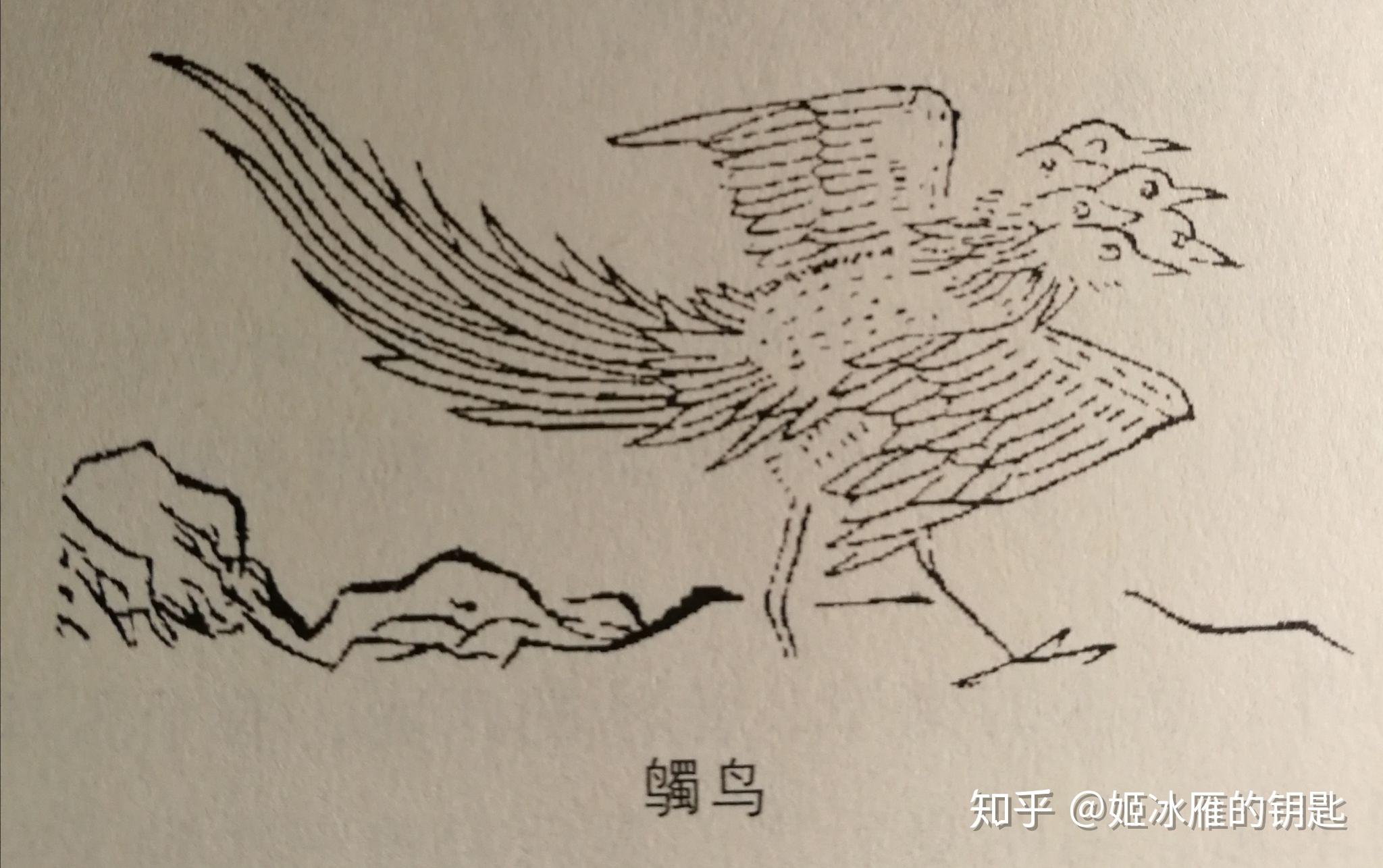 为了给我家新来的喵主子起名我翻遍了山海经的神兽卷十六卷十八