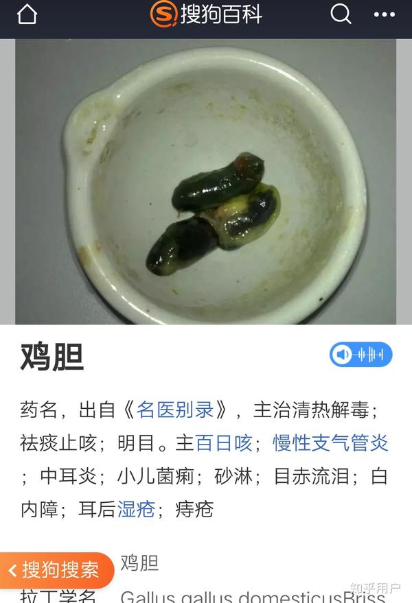 鸡苦胆,生吃 极度苦,还带着腥