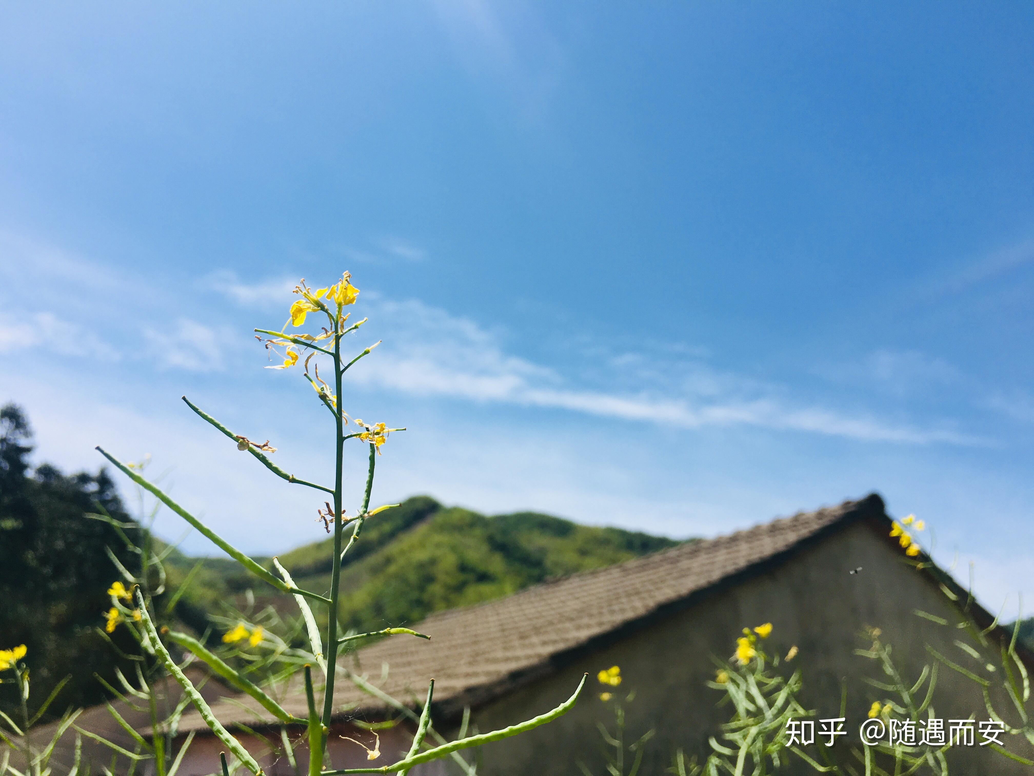 2020 年,你拍的最好的家乡照片是哪一张?