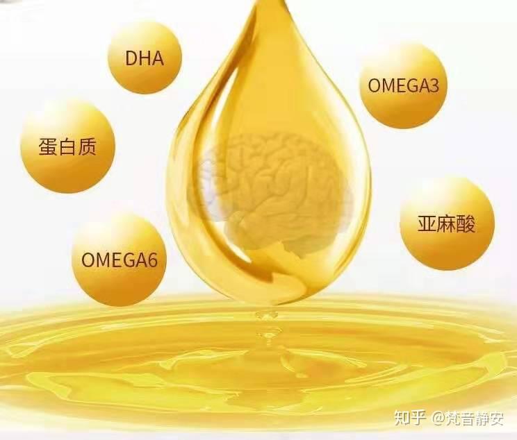 核桃油营养含量丰富,富含人体必须脂肪酸亚油酸和亚麻酸,磷脂,叶酸,脂