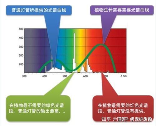 多肉补光灯note 知乎