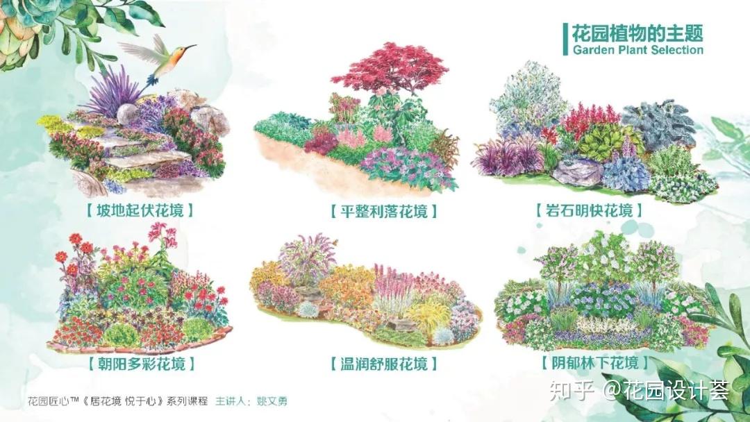 庭院花境设计课程《美好花园造园记》 - 知乎