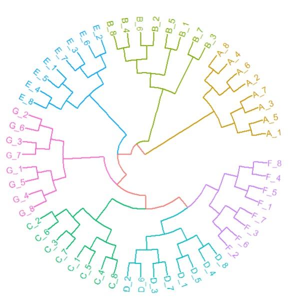 r语言跟着Nature Communications学绘图—tree+分支颜色调整+分组注释+热图注释+柱状堆积图注释！！！ - 知乎